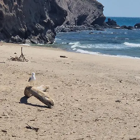 דירה Les Pieds Dans L'eau