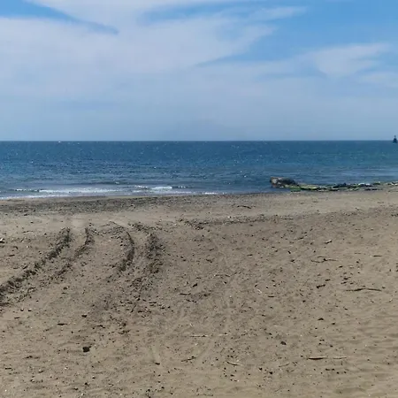 Les Pieds Dans L'eau