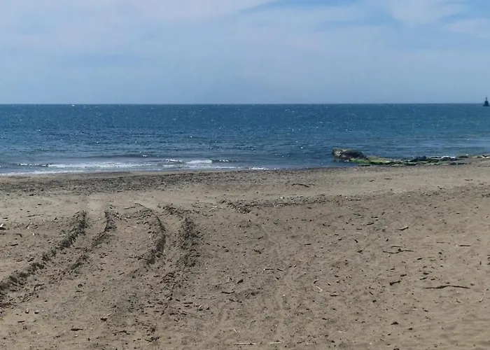 Les Pieds Dans L'eau