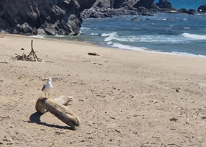 شقة Les Pieds Dans L'eau